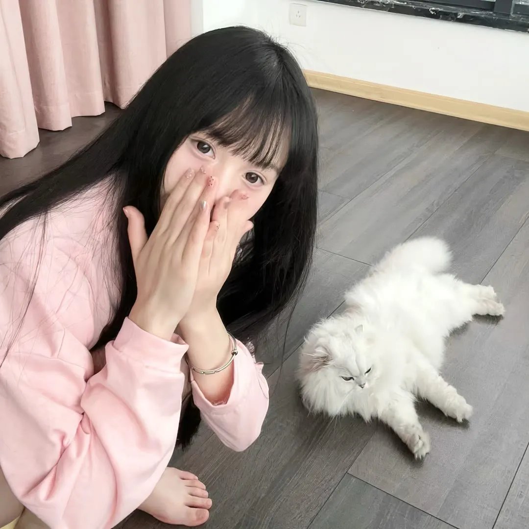 谋杀预想